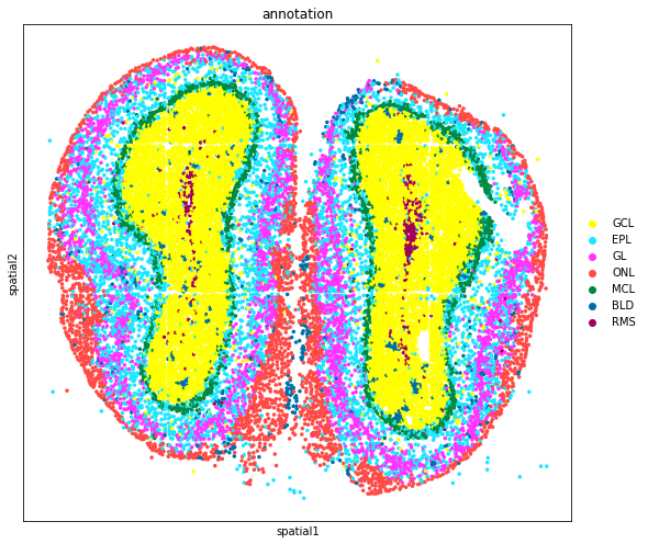 ../_images/tutorials_stereo_seq_olfactory_bulb_37_0.png