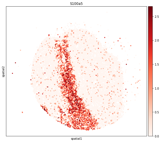 ../_images/tutorials_slide_seq_olfactory_bulb_31_0.png