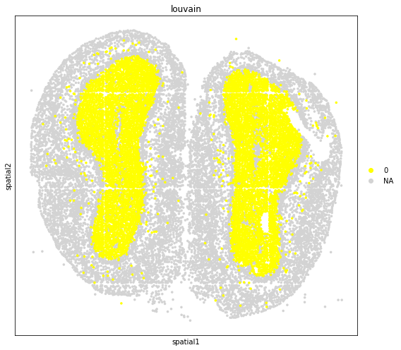 ../_images/tutorials_stereo_seq_olfactory_bulb_29_0.png