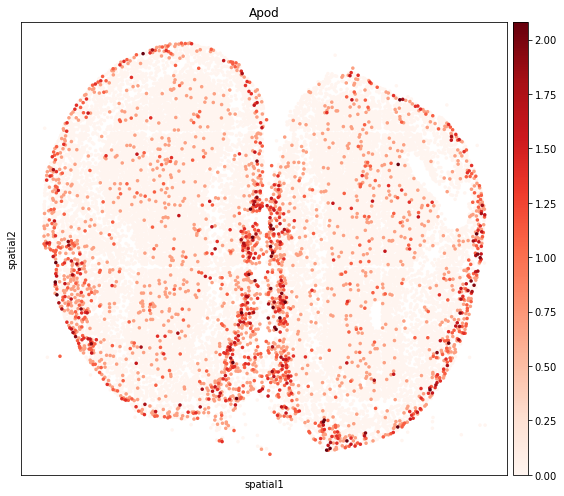 ../_images/tutorials_stereo_seq_olfactory_bulb_32_0.png